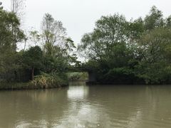 -溱湖国家湿地公园