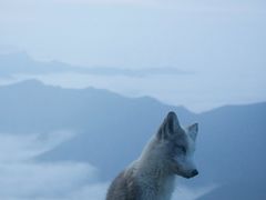 -五台山圆照寺