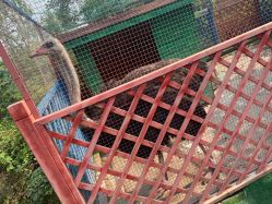 -萌宠亲子动物乐园(槐房万达店)