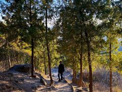 -北京十三陵国家森林公园蟒山景区