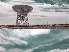 -上海佘山国家森林公园天马山园