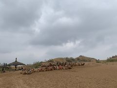 -黄沙古渡原生态旅游区