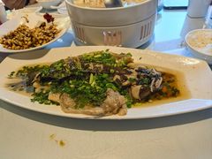 -老牌坊鲁菜名店(聊城美食岛店)