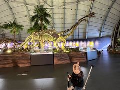 -辽宁古生物博物馆