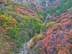 -皇藏峪国家森林公园