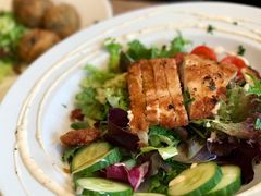 鸡肉沙拉-大象咖啡馆