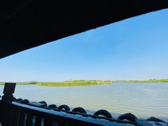 -宁波杭州湾国家湿地公园