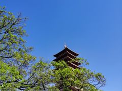 -牛首山文化旅游区