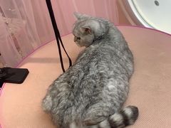 -FAELING PETS美天灵宠物(富力广场店)