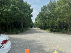 -胜华驾校·小猫学车(银都店)