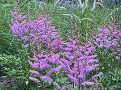 -西湖风景区-江洋畈生态公园