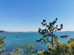 -映像威海·海鲜味道(经区店)