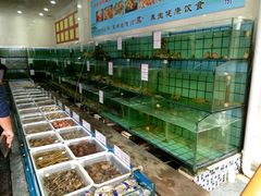 -海岛渔村大酒店(云霄路店)