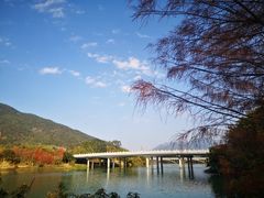 -广州市流溪河国家森林公园