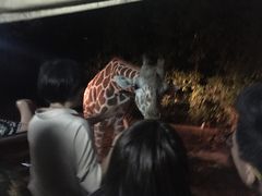 -清迈夜间动物园
