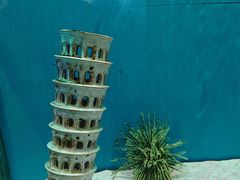 -海合安武汉极地海洋公园