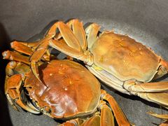 -好爸爸(外滩店)