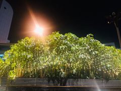 -深圳香格里拉酒店
