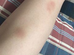 -东丽温泉羽毛球