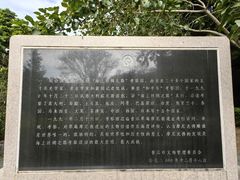 -草庵摩尼教遗址公园