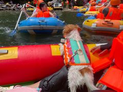 -安吉龙王山峡谷漂流