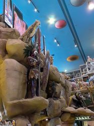 -卡通尼·Safari非洲探索乐园·生日会(金桥国际商业广场店)