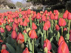 -玄武湖景区-情侣园游乐场