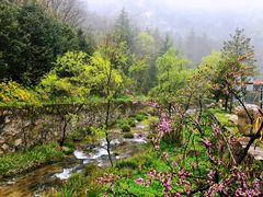 -秦岭终南山世界地质公园翠华山景区