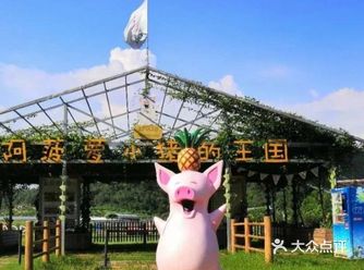 这家户外儿童乐园真的超耐玩，适合夏日遛娃