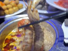-海韵之星邮轮水会(明发商业广场店)
