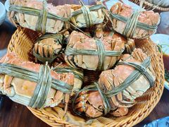 -蟹村草堂·苏式园林人文农家·大闸蟹