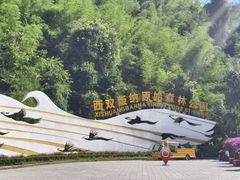 -西双版纳原始森林公园