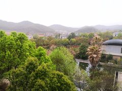 -宁波九龙湖开元度假村