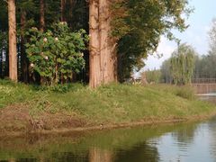 -黄海国家森林公园