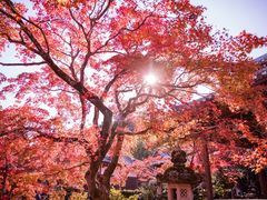-常寂光寺