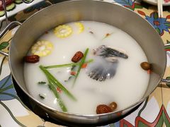特色鱼骨锅底-莫小七火锅
