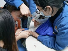 -佑安动物医院·全科·内窥镜中心(幸福巷店)