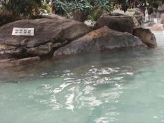 -唐风温泉
