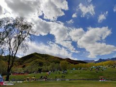 -玉渡山自然风景区