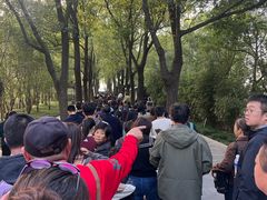 -溱湖国家湿地公园