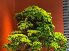 -阿伟海鲜楼·福建菜(延寿店)