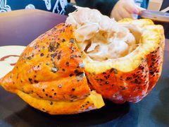 -国家会展中心
