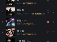 -济南奥林匹克体育中心体育场
