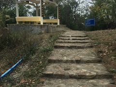 -风云岭森林公园