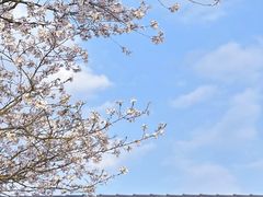 -凤凰沟景区