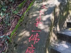 -大金鹰园