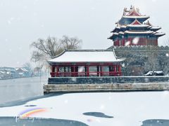 -故宫博物院(故宫)