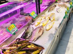 -祝家饺子馆