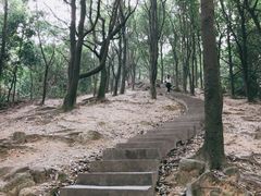 -火炉山森林公园