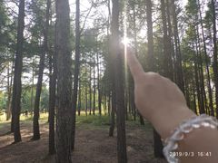 -塞罕坝国家级自然保护区